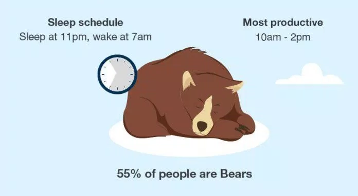 Những con gấu hoạt động mạnh nhất trong khoảng thời gian từ 10 giờ sáng đến 2 giờ chiều (Ảnh: Internet).