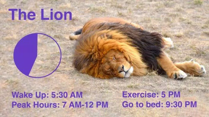 Bộ đồ của Sư tử vào sáng sớm (Ảnh: Internet).