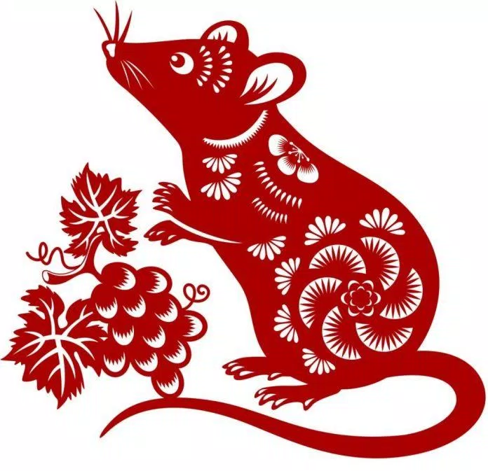 Mừng năm con chuột bằng cách cắt giấy màu đỏ, và con chuột là dấu hiệu hoàng đạo của Trung Quốc cho năm mới 2020 của Trung Quốc