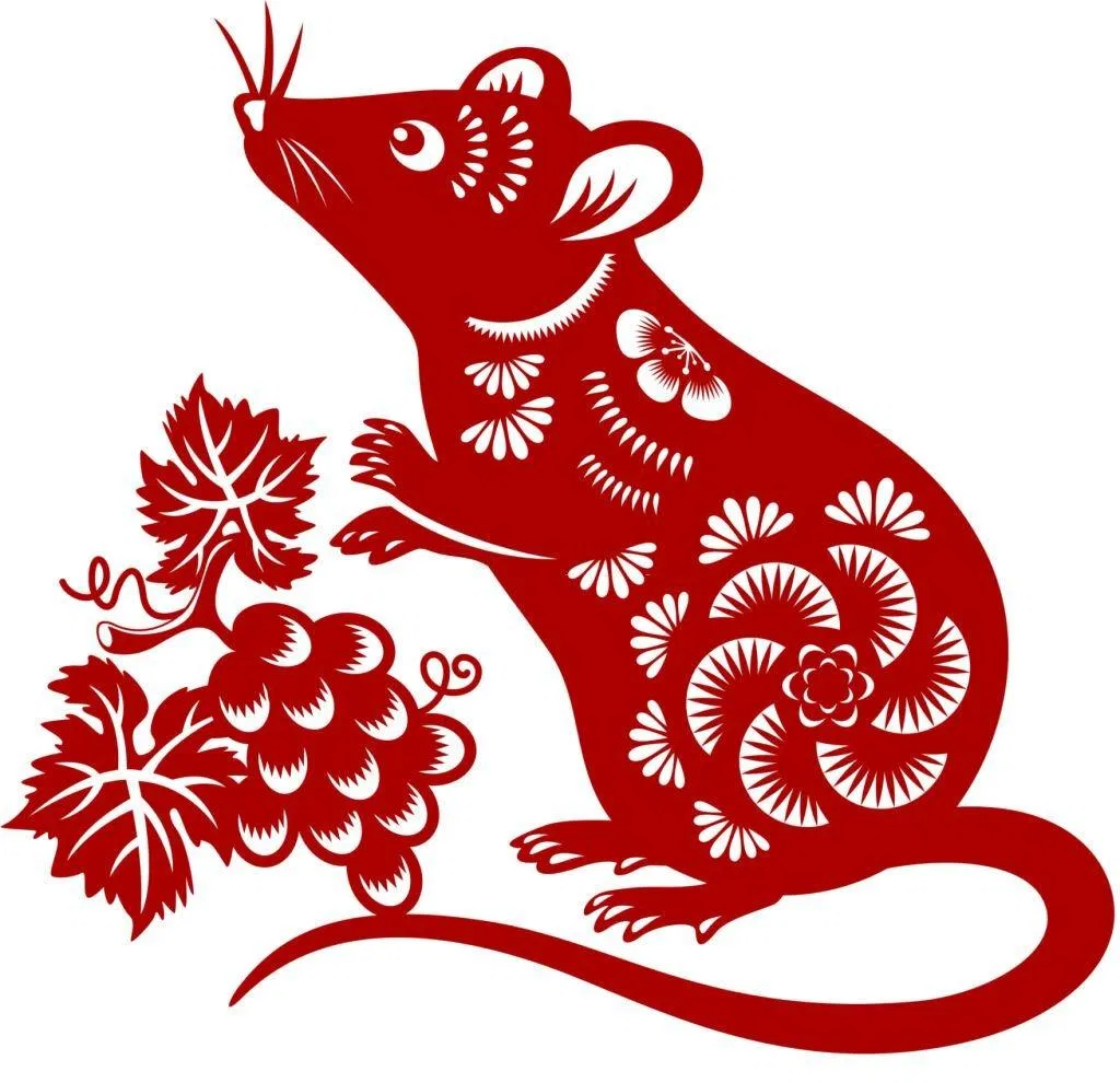 Celebrate the Year of the Rat with the red colored paper cut, and the rat is the Chinese Zodiac sign for the Chinese New Year 2020