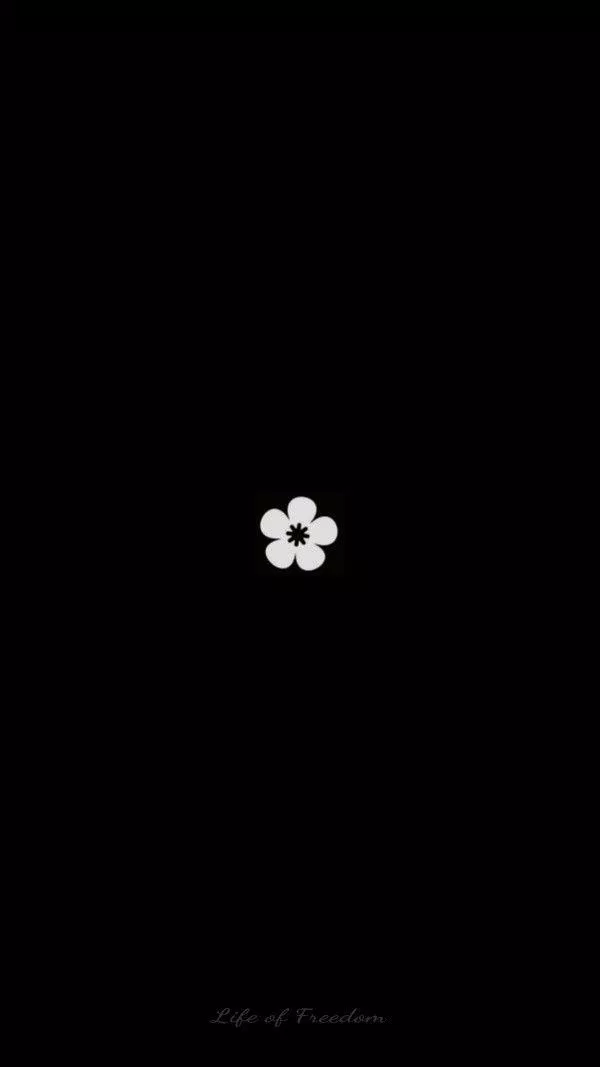 Hình nền bông hoa (Ảnh: Internet)