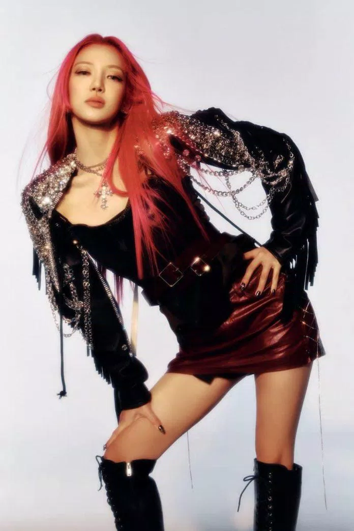 Hyoyeon xứng danh "main dancer" của nhóm nhạc quốc dân SNSD (Nguồn: internet)