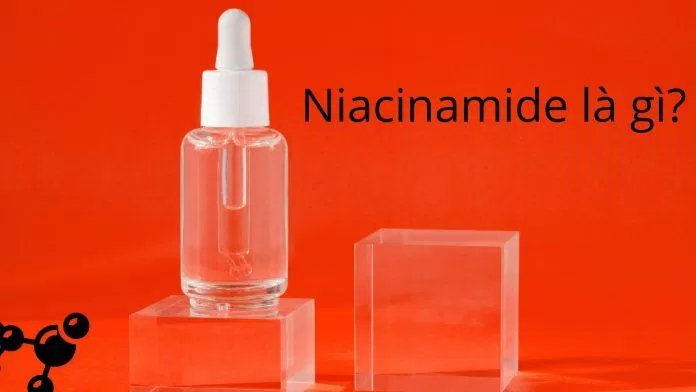 Niacinamide là một dạng vitamin ức chế sản sinh tyrosine nên có tác dụng dưỡng sáng da, làm mờ vết thâm (Nguồn: BlogAnChoi)