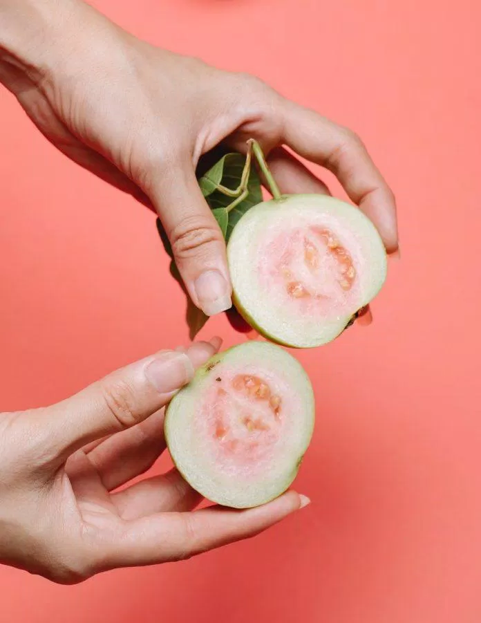 Ổi chứa nhiều vitamin C và nhiều hơn cả vitamin C có trong cam ở cùng một khối lượng (Ảnh: Internet) Ổi chứa nhiều vitamin C và nhiều hơn cả vitamin C có trong cam ở cùng một khối lượng (Ảnh: Internet)