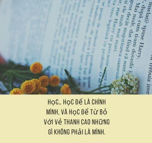 Status hay về học tập (Nguồn: Internet) Status hay về học tập (Nguồn: Internet)