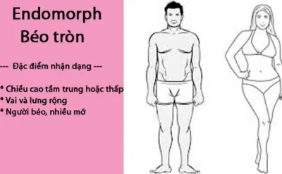 Tạng người Endomorph rất khó giảm cân. (Ảnh: Internet) Tạng người Endomorph rất khó giảm cân. (Ảnh: Internet)