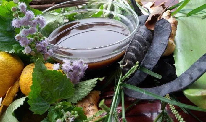 Dầu gội thảo dược chứa chủ yếu các thành phần dễ tìm thấy trong tự nhiên và được dân gian sử dụng rộng rãi trong các bài thuốc gia truyền (Ảnh: Internet).