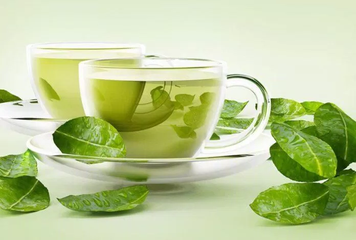 Trà xanh cũng là một lựa chọn tốt cho quá trình làm giảm mỡ mặt ( nguồn: internet)
