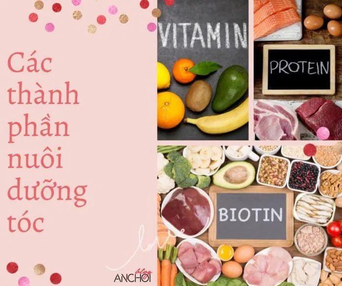 Thường xuyên bổ sung các thành phần nuôi dưỡng tóc là một trong những cách nuôi dưỡng tóc hiệu quả (nguồn: BlogAnChoi)
