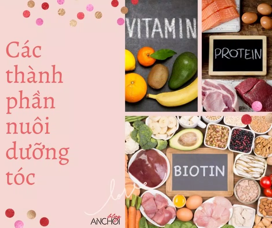 Thường xuyên bổ sung các thành phần nuôi dưỡng tóc là một trong những cách nuôi dưỡng tóc hiệu quả (nguồn: BlogAnChoi)