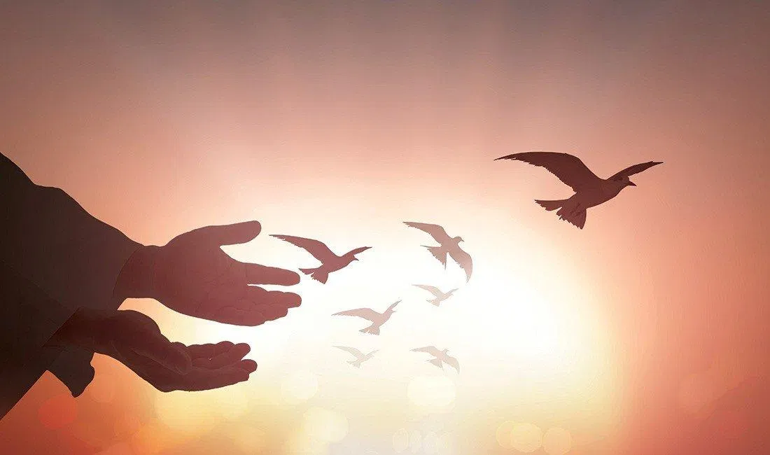 Tha thứ và cho đi (Ảnh: Internet). Tha thứ và cho đi (Ảnh: Internet).