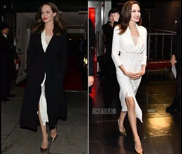 Angelina Jolie's main color tones (Source: Internet)