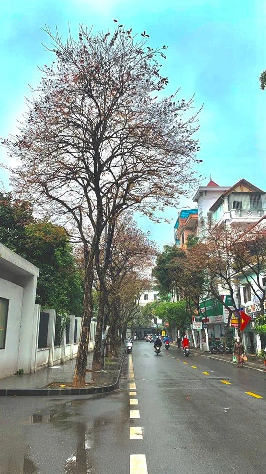 "Mau về đi thôi, tháng 4 đến rồi". (Ảnh: kaya) "Mau về đi thôi, tháng 4 đến rồi". (Ảnh: kaya)