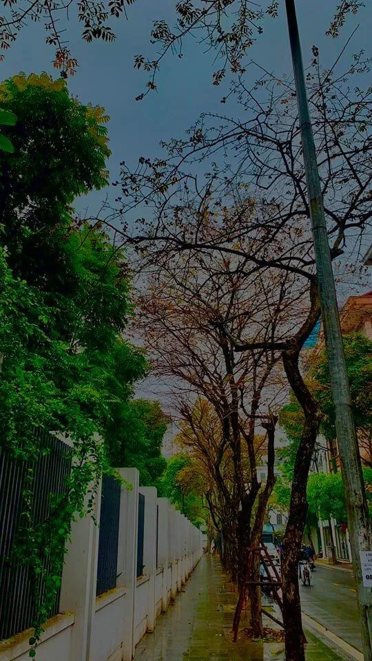 Thiên nhiên đang thay màu áo mới (Ảnh: kaya) Thiên nhiên đang thay màu áo mới (Ảnh: kaya)