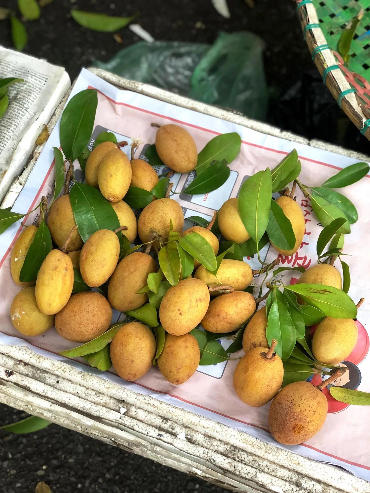 Mùa hồng xiêm gợi cho tôi những kí ức ngày thơ theo chân bà đi chợ mỗi sáng (Ảnh: kaya) Mùa hồng xiêm gợi cho tôi những kí ức ngày thơ theo chân bà đi chợ mỗi sáng (Ảnh: kaya)