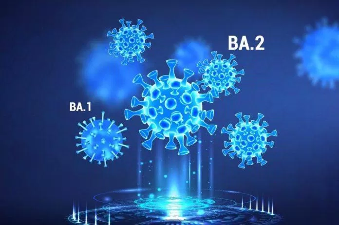BA.2 là một biến thể tàng hình của BA.1, là omicron ban đầu (Ảnh: Internet).