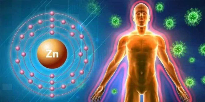 Kẽm là nguyên tố cần thiết cho cơ thể (Ảnh: Internet). Kẽm là nguyên tố cần thiết cho cơ thể (Ảnh: Internet).