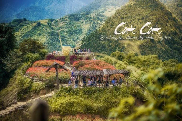 Bản Cát Cát (Ảnh: Internet) Bản Cát Cát (Ảnh: Internet)