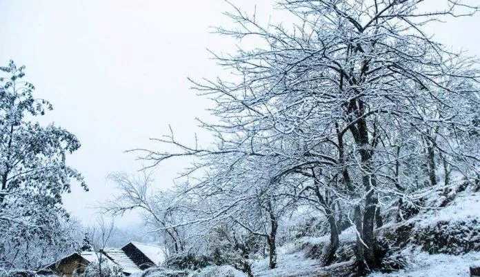 Tuyết rơi ở Sapa (Ảnh: Internet)