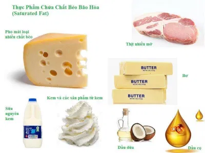 Những món ăn chứa nhiều chất béo bão hòa (Ảnh: Internet). Những món ăn chứa nhiều chất béo bão hòa (Ảnh: Internet).