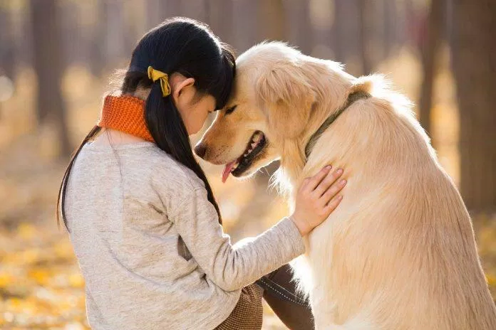 Con người chúng ta luôn có tình cảm sâu sắc với những người bạn động vật (Nguồn: Internet) Con người chúng ta luôn có tình cảm sâu sắc với những người bạn động vật (Nguồn: Internet)