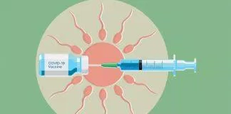 Vaccine COVID-19 không gây vô sinh (Ảnh: Internet).