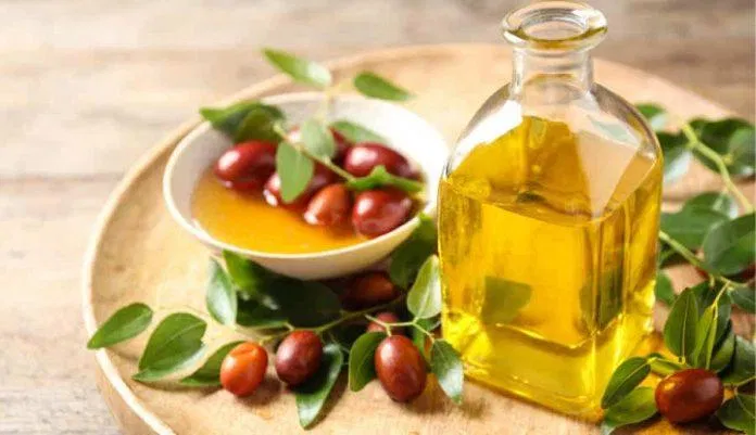 các loại oil có khả năng cấp ẩm thần kì (nguồn: internet)