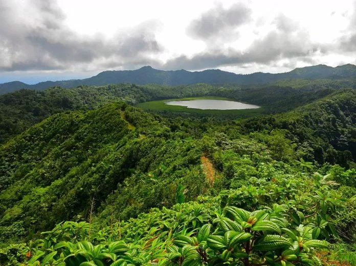 Khu bảo tồn rừng Grand Etang (Ảnh: Internet) Khu bảo tồn rừng Grand Etang (Ảnh: Internet)