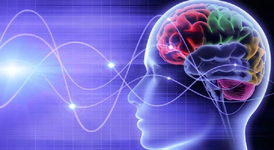 Hoạt động của não trong lúc ngủ rất phức tạp (Ảnh: Internet). Hoạt động của não trong lúc ngủ rất phức tạp (Ảnh: Internet).