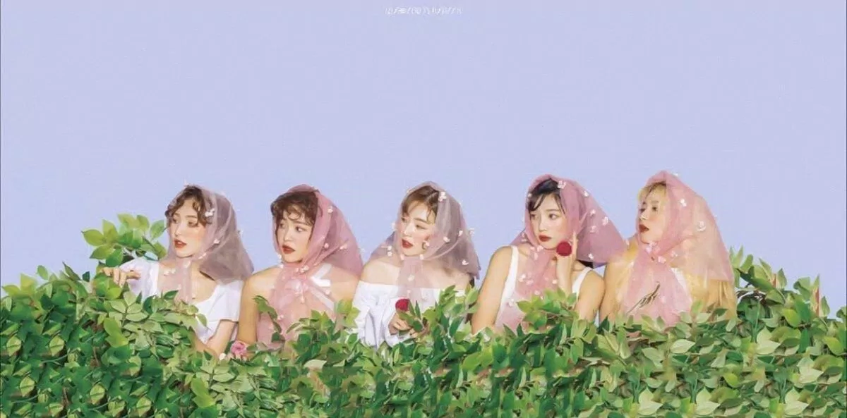 Lượt sale album của RED VELVET từng không mấy khá khẩm (Nguồn: Internet)