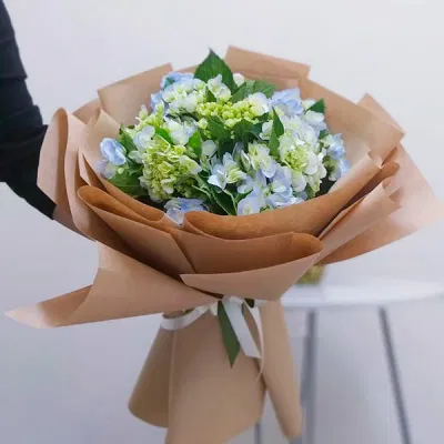 Hoa cẩm tú cầu mang nhiều ý nghĩa (Nguồn ảnh: Internet) Hoa cẩm tú cầu mang nhiều ý nghĩa (Nguồn ảnh: Internet)