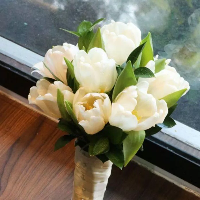 Vẻ đẹp của hoa tuylip trắng (Nguồn ảnh: Internet)