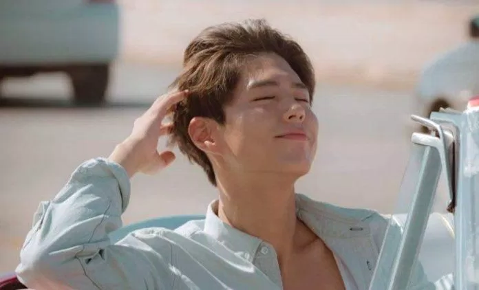 Park Bo Gum (Nguồn: Internet)