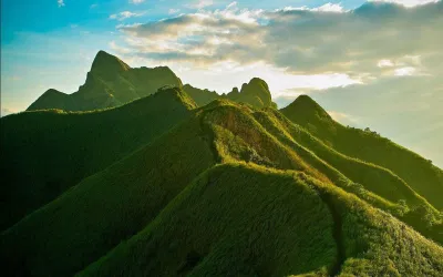 蒼 (Sou) dùng để chỉ màu xanh lá cây đậm với một chút xanh lam. (Ảnh: Internet) 蒼 (Sou) dùng để chỉ màu xanh lá cây đậm với một chút xanh lam. (Ảnh: Internet)