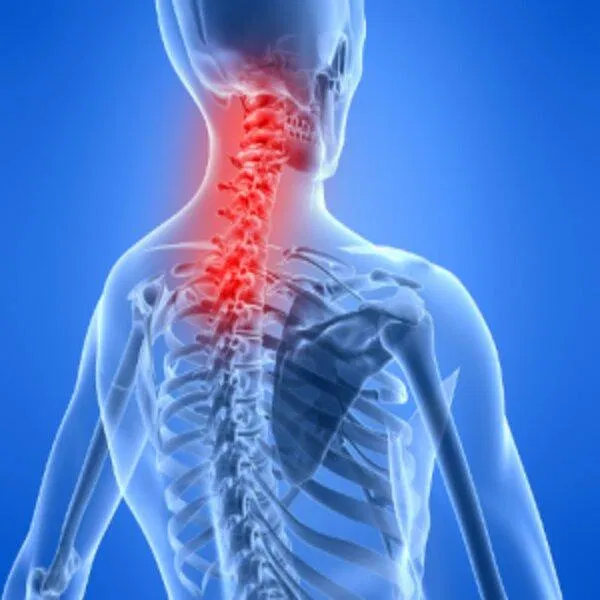 (Nguồn: Internet).