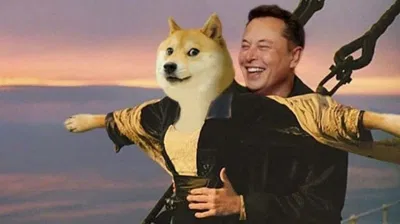 Elon Musk chỉ “nổi hứng” nhất thời với Dogecoin? (Ảnh: Internet). Elon Musk chỉ “nổi hứng” nhất thời với Dogecoin? (Ảnh: Internet).