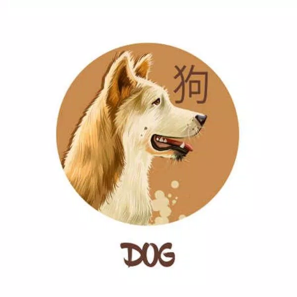 Tử vi hàng ngày tuổi Chó 12/3/2022 (Ảnh: Internet)