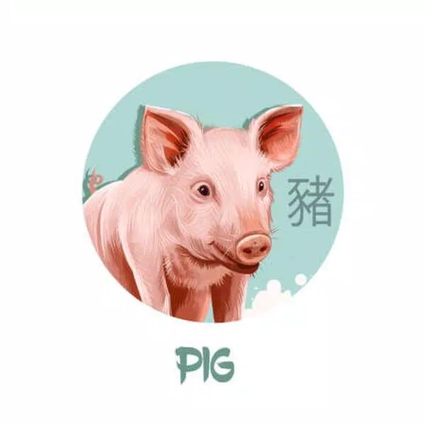 Tử vi hàng ngày tuổi Hợi 12/3/2022 (Ảnh: Internet)