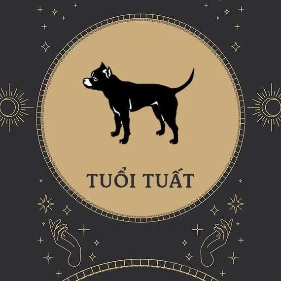 Tử vi hàng ngày tuổi Chó ngày 13/3/2022 (Ảnh: Internet)