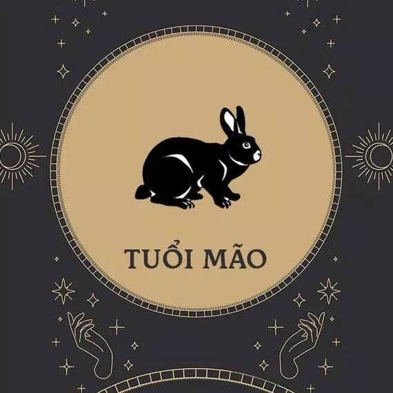 Tử vi hàng ngày tuổi Mèo ngày 13/3/2022 (Ảnh: Internet)