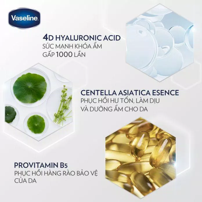 Thành phần chính sữa dưỡng thể Vaseline Pro Derma 4 màu xanh dương (Ảnh: Internet)