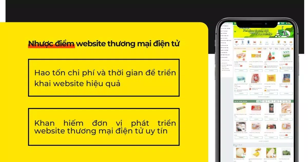 Nhược điểm của website thương mại điện tử (Ảnh: Internet).