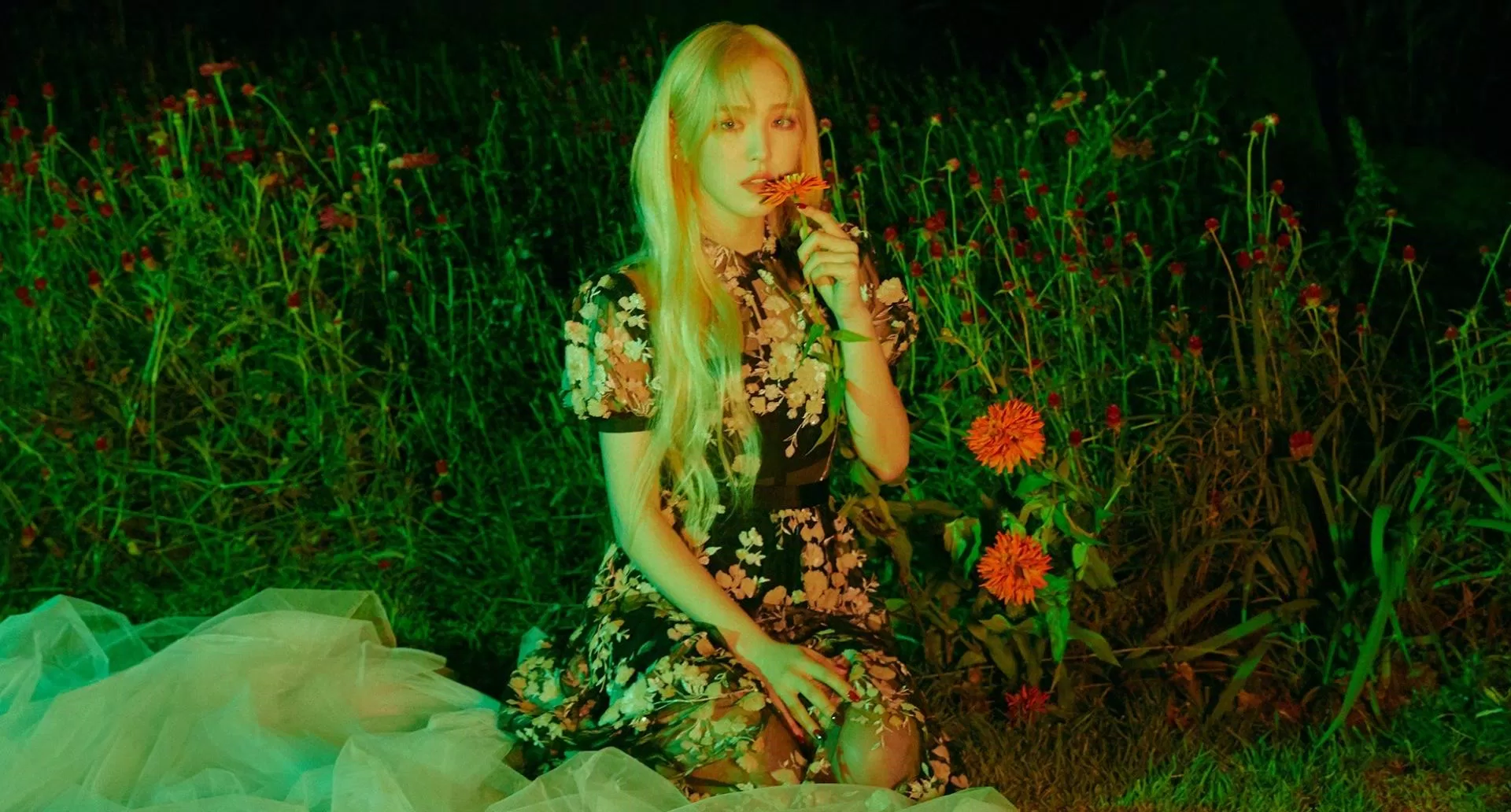 Wendy (Nguồn: Internet) Wendy (Nguồn: Internet)