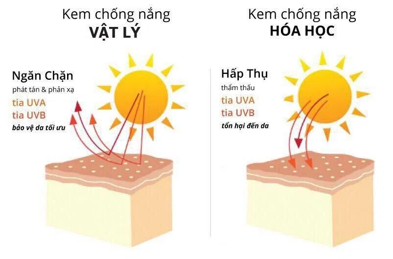 Phân loại kem chống nắng (Nguồn: Internet)
