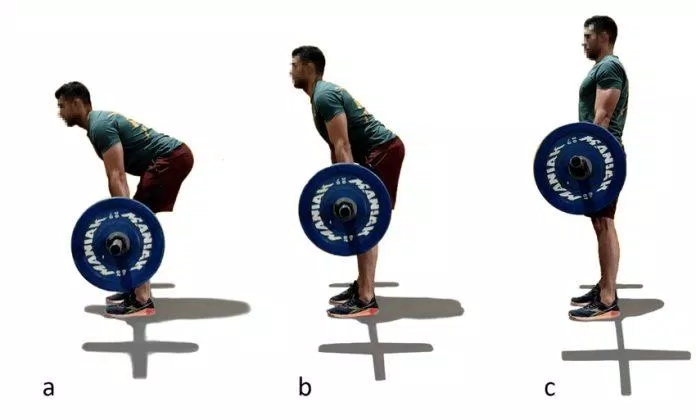 Động tác deadlift (Ảnh: Internet). Động tác deadlift (Ảnh: Internet).