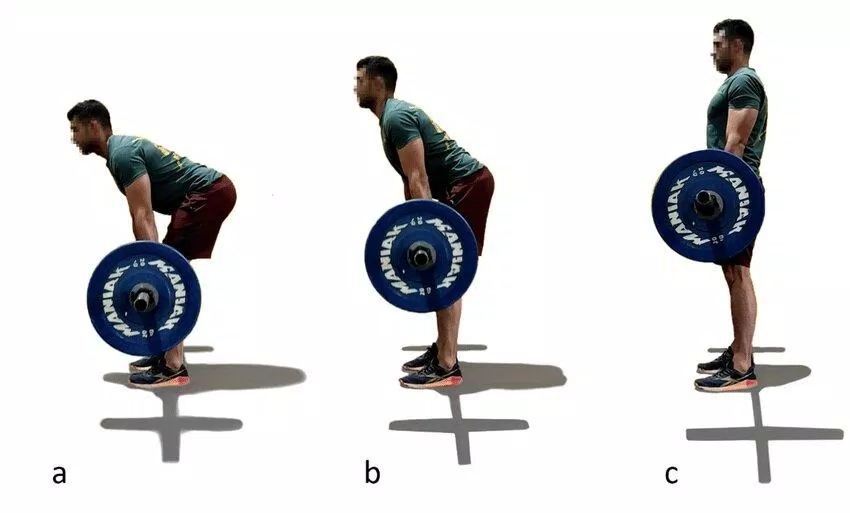 Động tác deadlift (Ảnh: Internet).