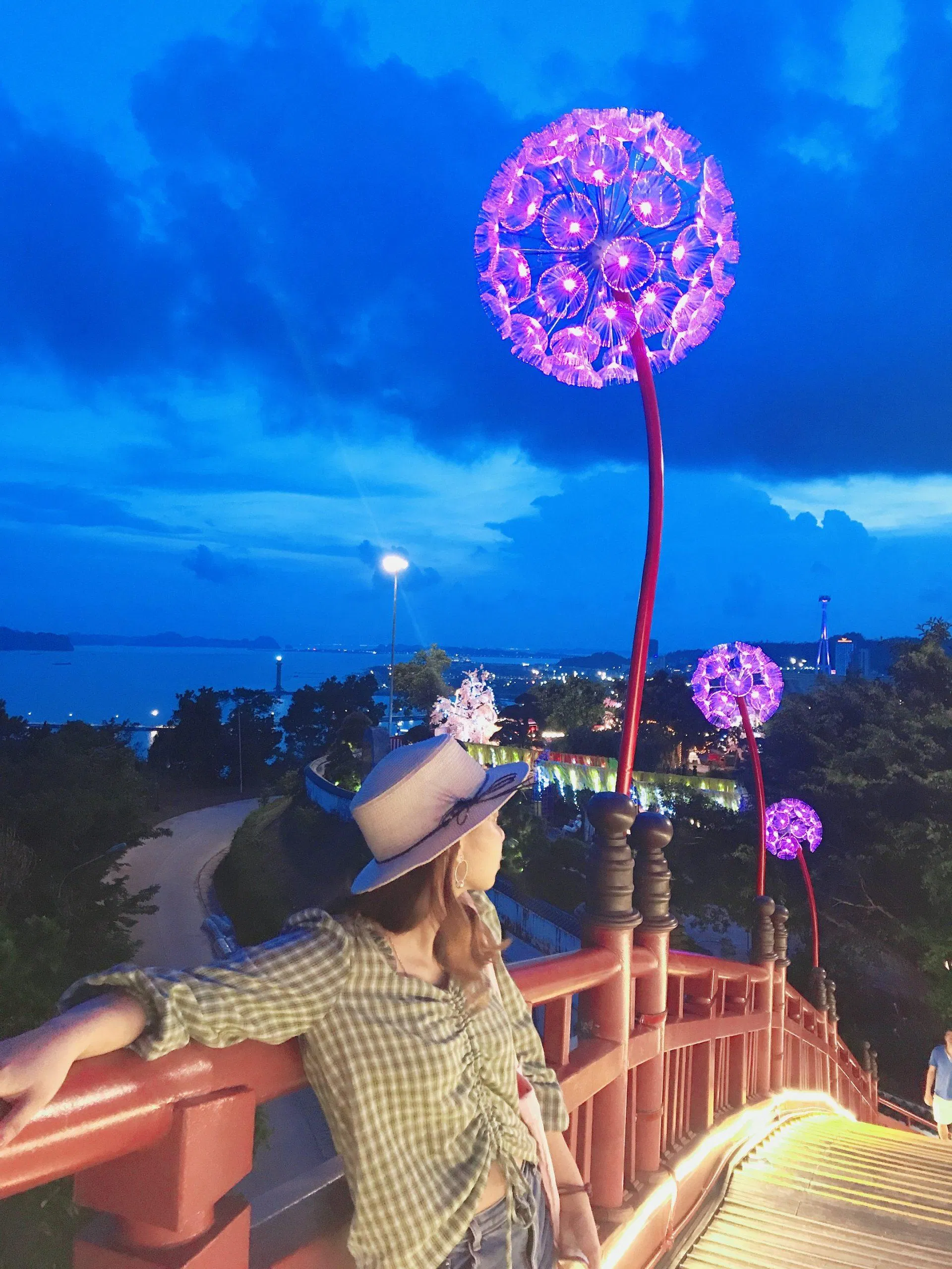 Vườn Nhật khi lên đèn. (Ảnh: Kim Cúc) Vườn Nhật khi lên đèn. (Ảnh: Kim Cúc)