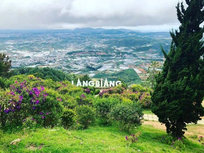 Một góc đỉnh múi Langbiang (Ảnh: Internet)