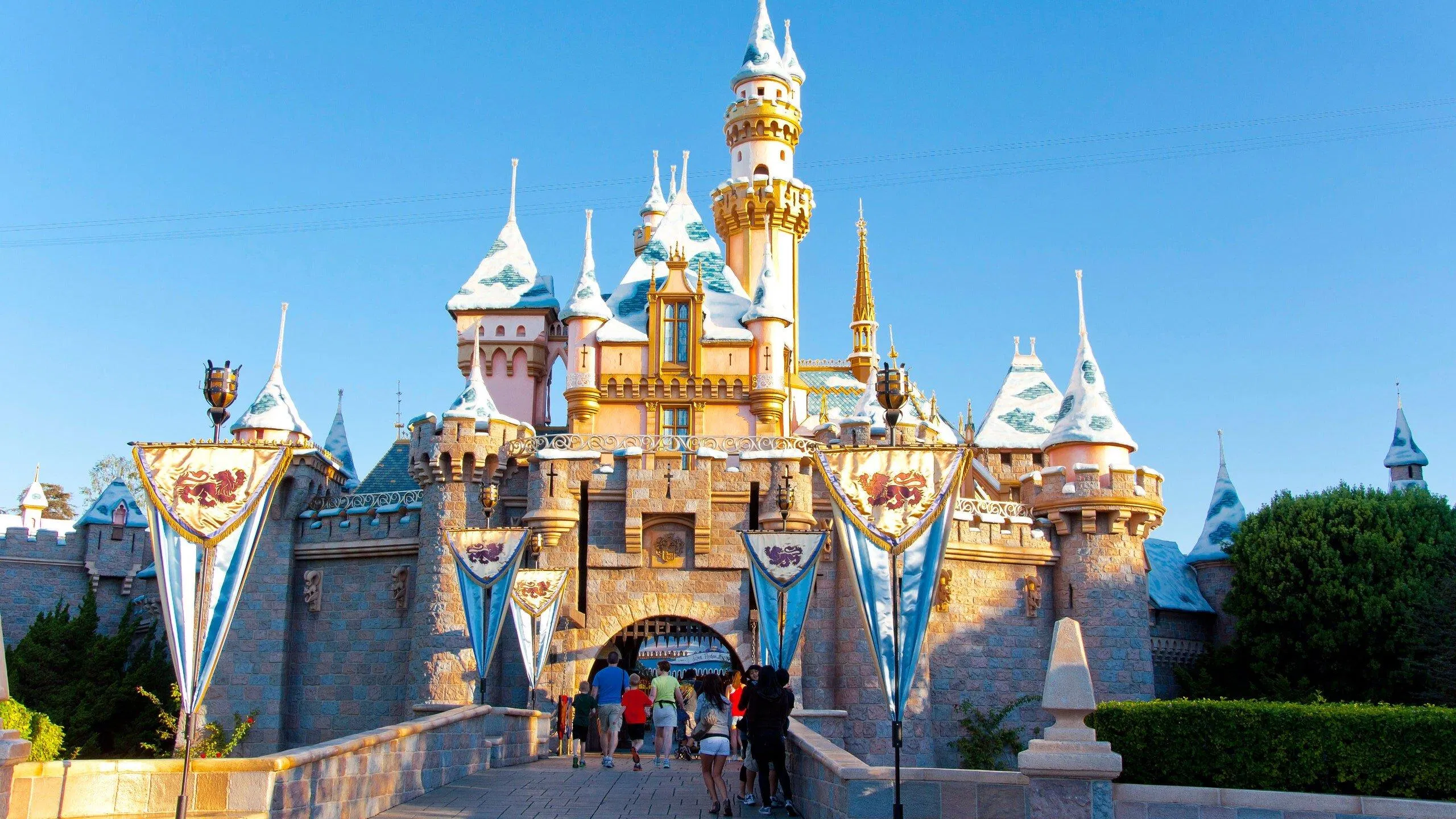 Disneyland (Ảnh: Internet)