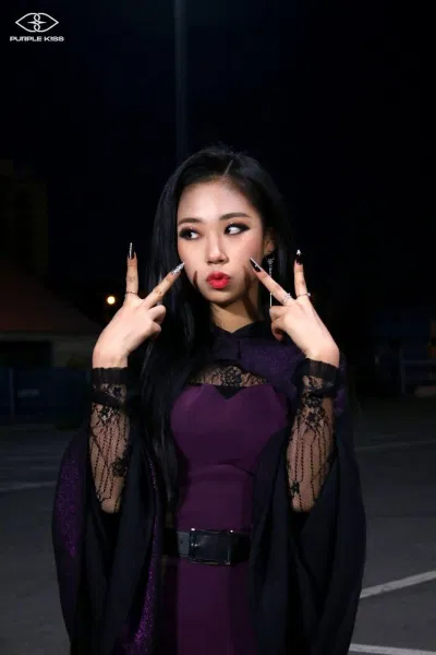 Dosie Purple KISS (Ảnh: Internet)